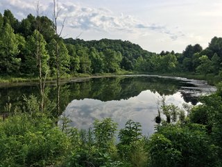 Property photo 78 - LAND AUCTION - 1,050+/- ACRES OFFERED IN 21 TRACTS PLUS 450+/- ACRE HUNTING LEASE IN MUSKINGUM COUNTY, OHIO